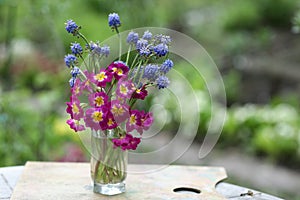 Violet crimson blue flowers bouquet close up photo on summer green background