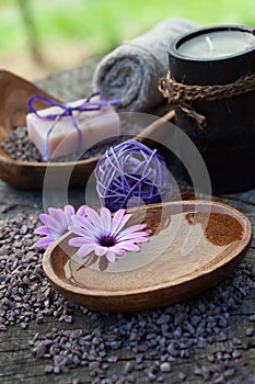 Violet dayspa nature set