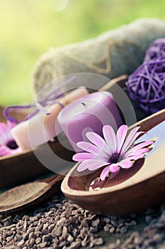 Violet dayspa nature set