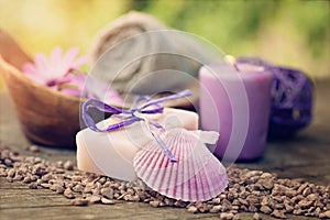 Violet dayspa nature set