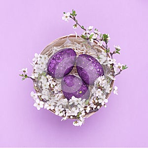Violet easter eggs in a basket with flowers on a violet background. Square photograph. Top view