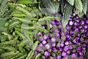Violet eggplant and karela