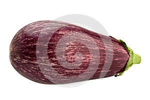 Violet eggplant vegetable closeup isolated on white