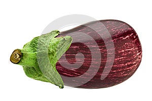 Violet eggplant vegetable closeup isolated on white