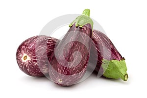 Violet eggplant vegetable closeup isolated on white