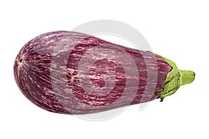 Violet eggplant vegetable closeup isolated on white