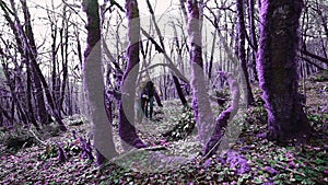 Violet fairytale forest. Two young people are walking in the magical purple forest on sunny day