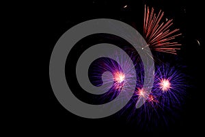 Violet fireworks on the black sky background with copyspace