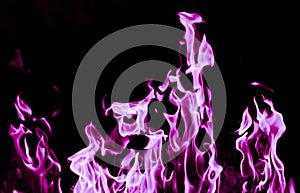 Violet flame fire on black background photo