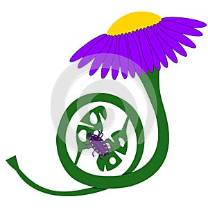 Violet flower french horn instrument made of flower, leaves and brunch with purple bug isolated on white background in