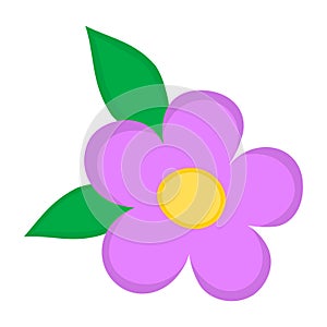 Violet flower with leaves iocn. Bloom vector illustration isolated on white photo