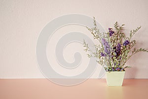 Violet flower in pot
