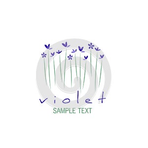 Bouquet of wild violets isolated on white background