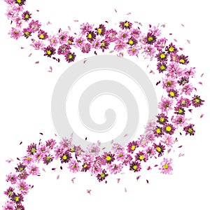 Violet Flowers Curve