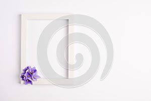 Violet flowers, photo frame on a white background.