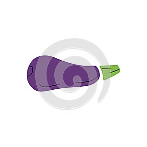 Violet fresh eggplant with black line isolated on white background. HAnd drawn vector simple doodle children illustration. Concept