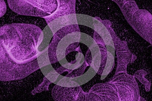 violet ice structure