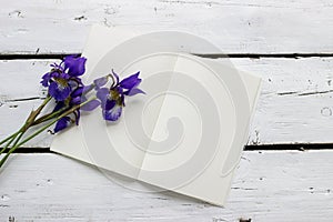 Violet Irises on white wooden background