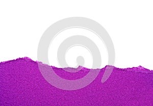 Violet lacerated paper for your illustrations