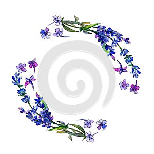 Violet lavender. Floral botanical flower. Frame border ornament square.