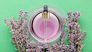 Violet lavender oil liquid with dropper pipette fresh lavender flowers on green color background. Natural body skin hair care bath