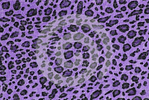 Violet leopard fabric img