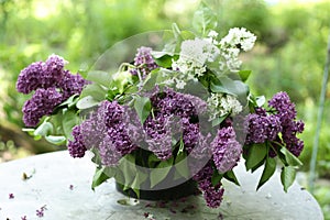 Violet lilac flowers with rain drops closeup photo