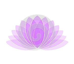 Violet Lotus Flower Icon Logo on White Background Illustration