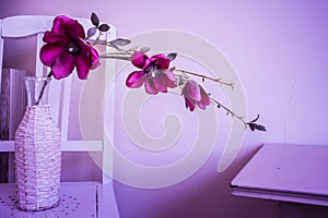 Violet orchid flowers in white vase in a retro home