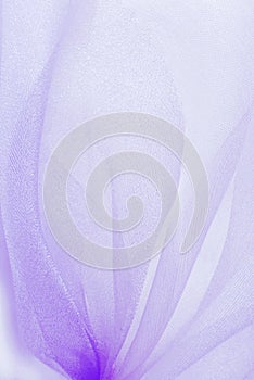 Violet organza fabric texture photo