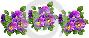 Violet Pansy Flowers isolated on white background Garden floral pattern decorative elements for beautiful design/ Watercolor Sign photo