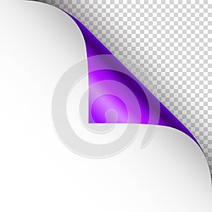Violet paper curl. Curled page corner with shadow. Blank sheet of paper. Colorful shiny foil. Design element for