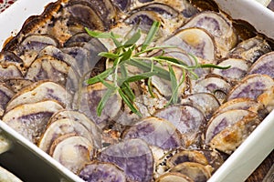 Violet potato gratin with cream and rosemary