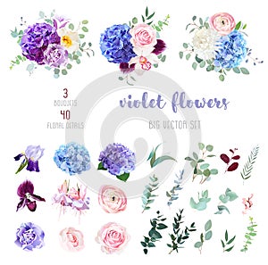 Violet, purple and blue flowers and greenery big vector set