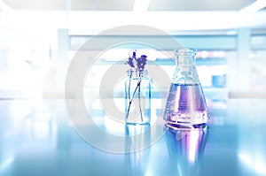 violet of purple flower in vial and glass flask in cosmetic research science laboratory background