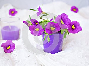 Violet-purple flowers in purple pot basket for background embroidered cloth Calibrachoa petunia Million bells ,Trailing petunia ,S