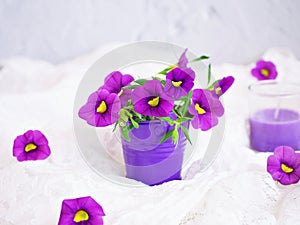 Violet-purple flowers in purple pot basket for background embroidered cloth Calibrachoa petunia Million bells ,Trailing petunia ,S