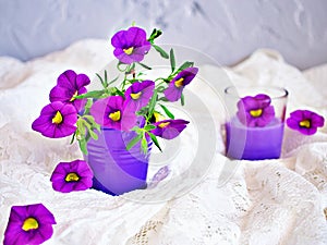 Violet-purple flowers in purple pot basket for background embroidered cloth Calibrachoa petunia Million bells ,Trailing petunia ,S