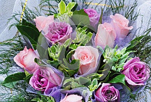 Violet rose bunch