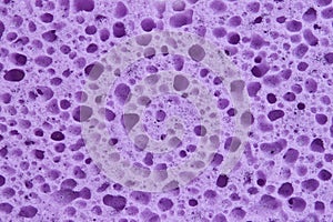 Violet sponge with porous texture