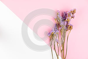 Violet statice flower on light pink and white background