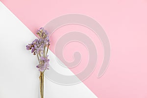 Violet statice flower on light pink and white background