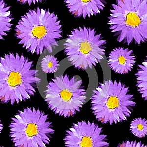 Violet sunny aster flowers seamless pattern