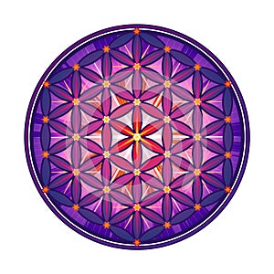 Violet Symbol Flower of life