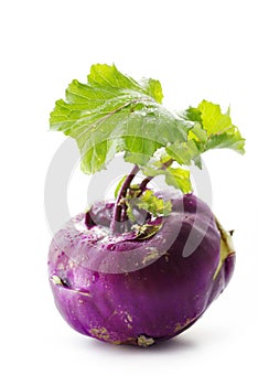 Violet turnip with green top