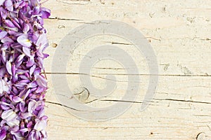 Violet wisteria flowers on white wooden background