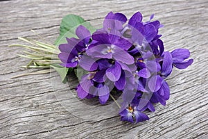 Violets bouquet on wooden board