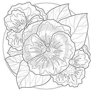 Violets flowers.Coloring book antistress for children and adults