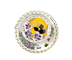 Violets and Pansies