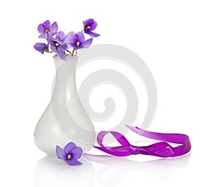 Violets in vase and ribbon